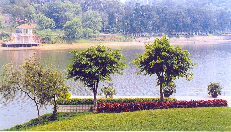水池041