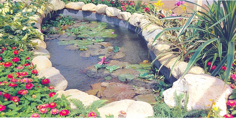 水池046