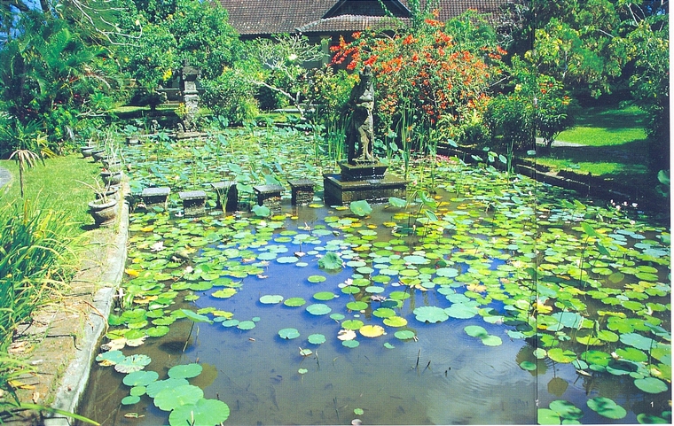 水池058