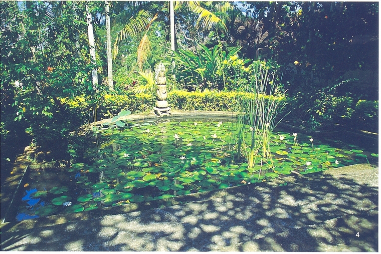 水池061
