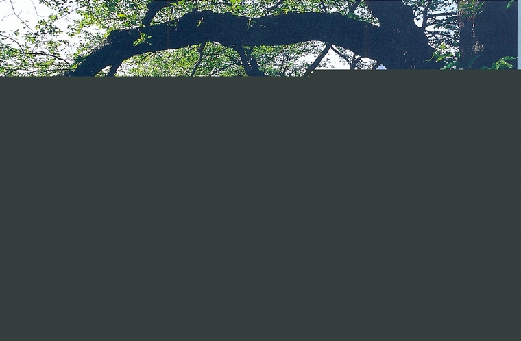 水池076