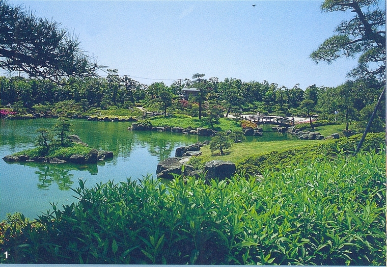 水池081