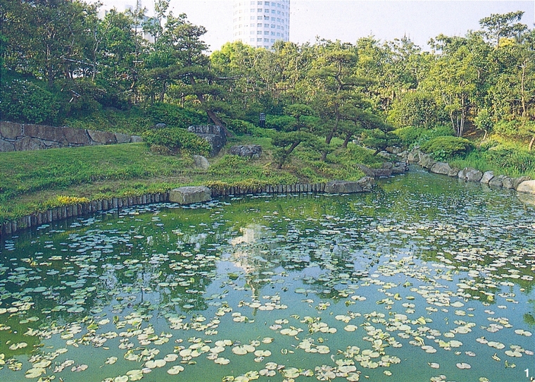 水池082