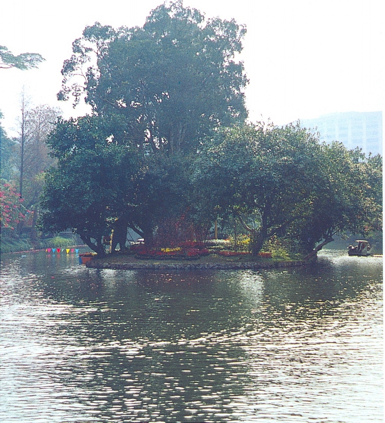 水池089