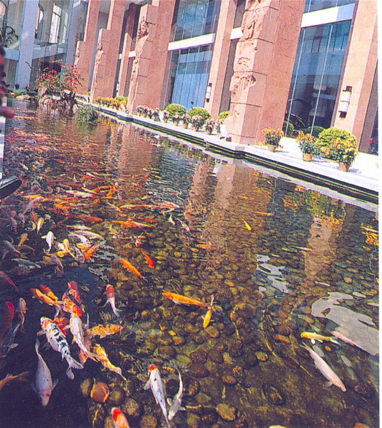 水池090