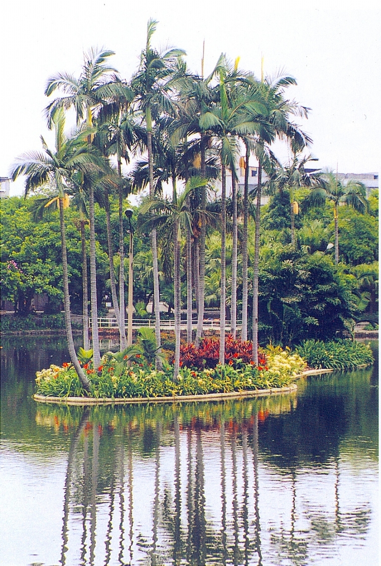 水池093