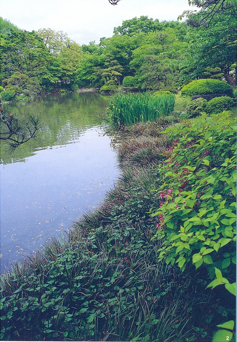 水池098