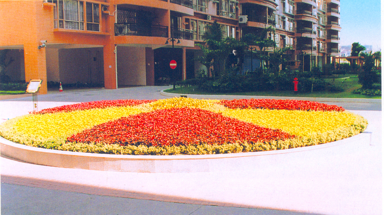 花池树池002