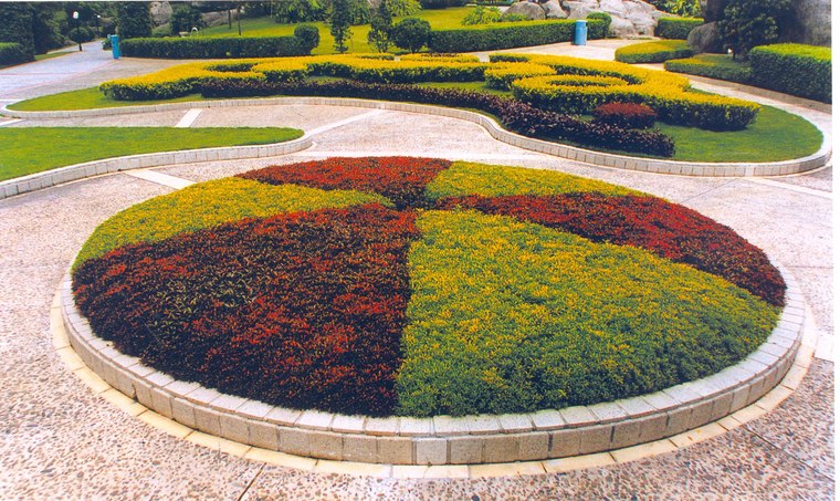花池树池003