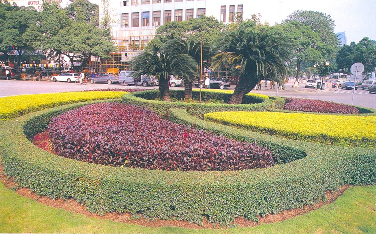 花池树池008