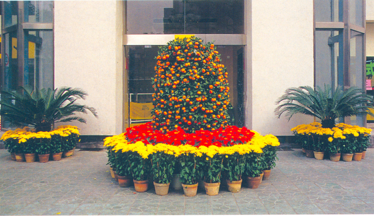 花池树池011