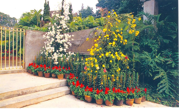花池树池012