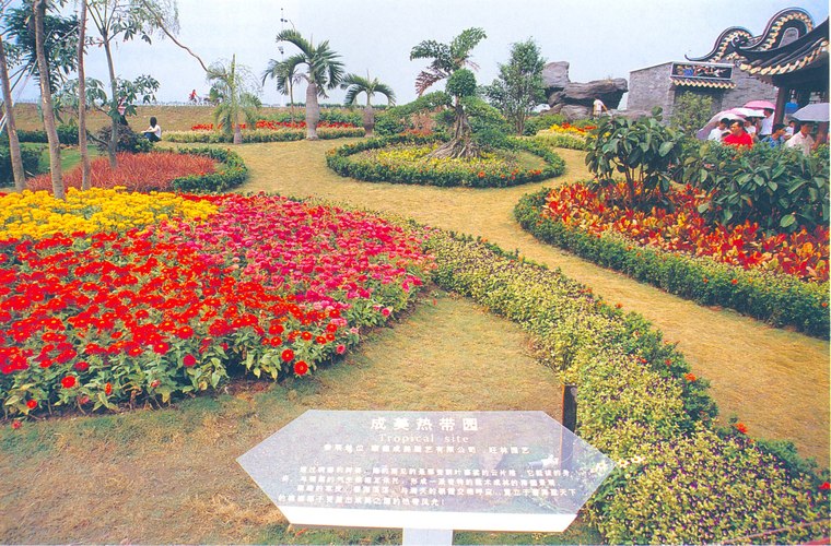 花池树池014