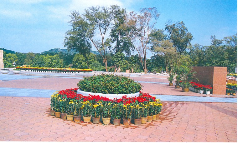 花池树池015