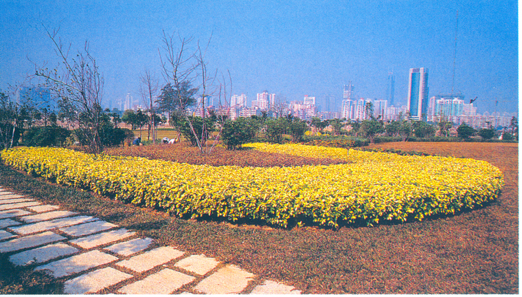 花池树池017