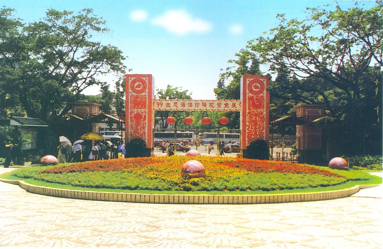 花池树池024