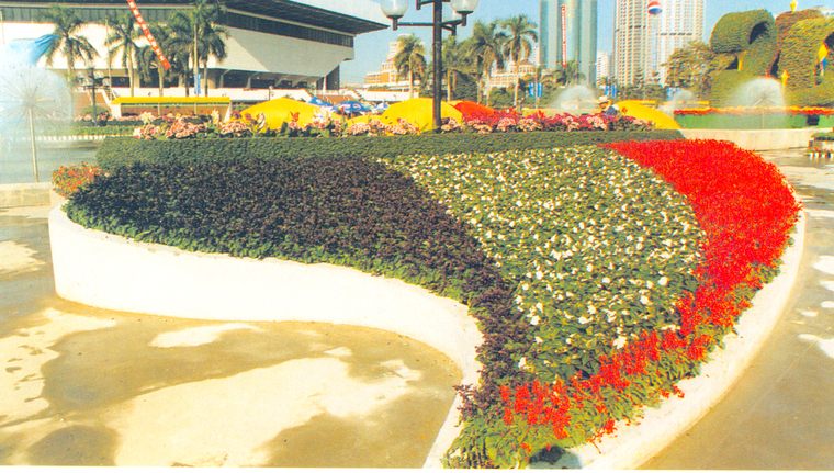 花池树池025