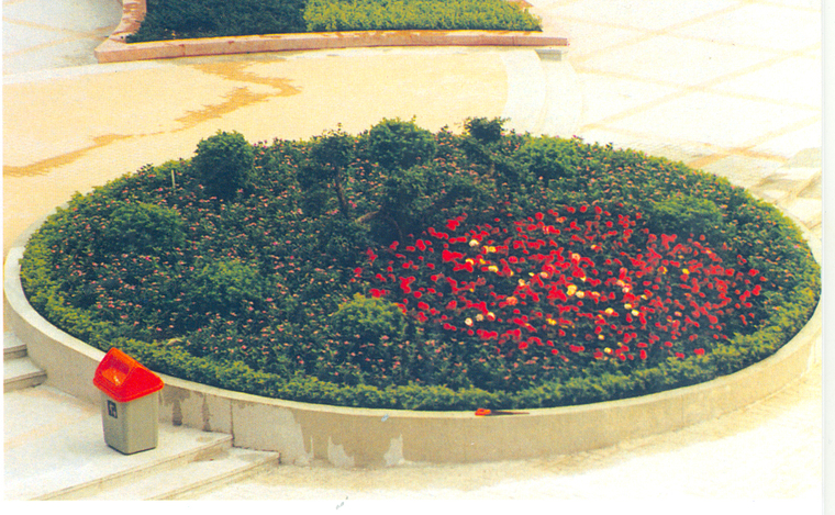 花池树池028