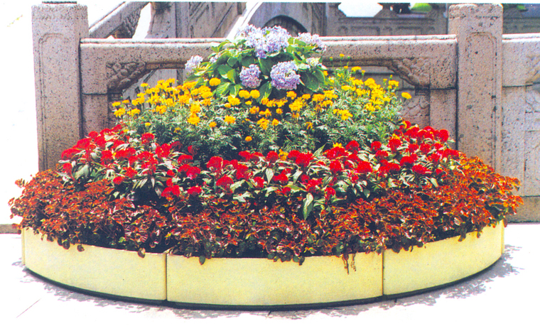 花池树池029