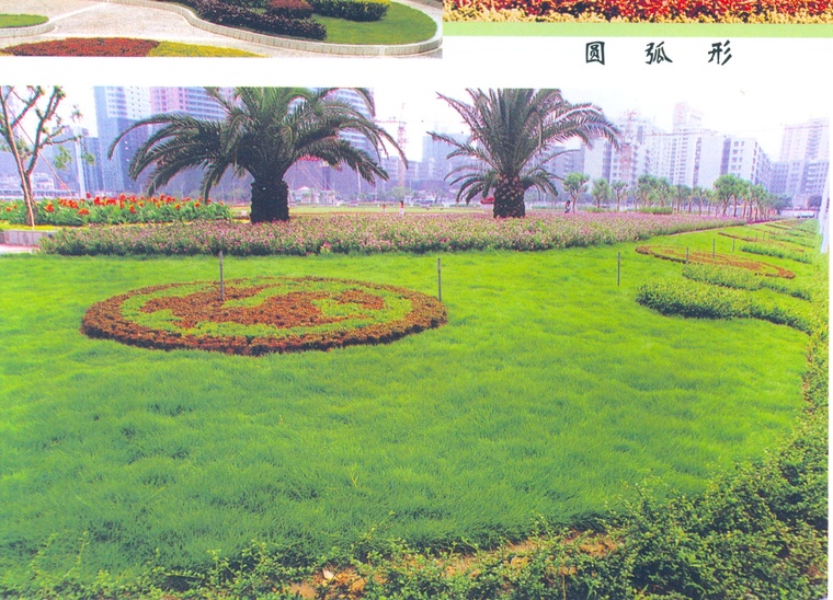 花池树池033
