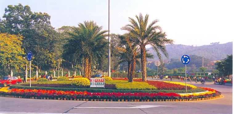 花池树池035