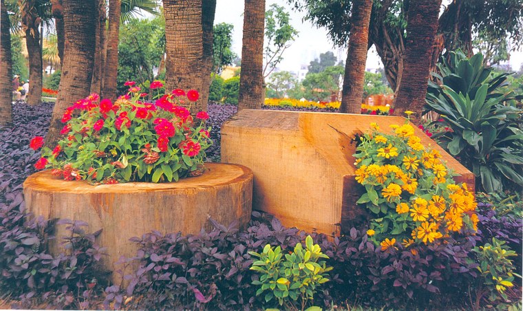 花池树池039