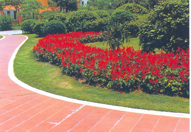 花池树池044