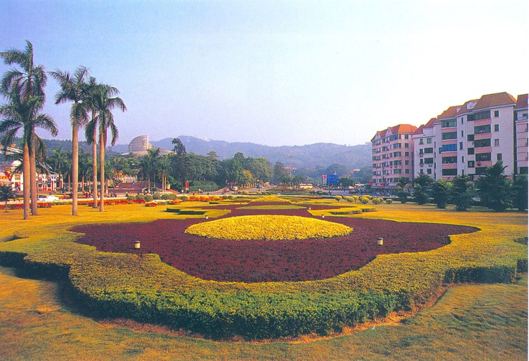 花池树池046