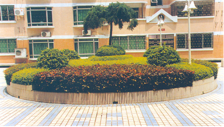 花池树池047