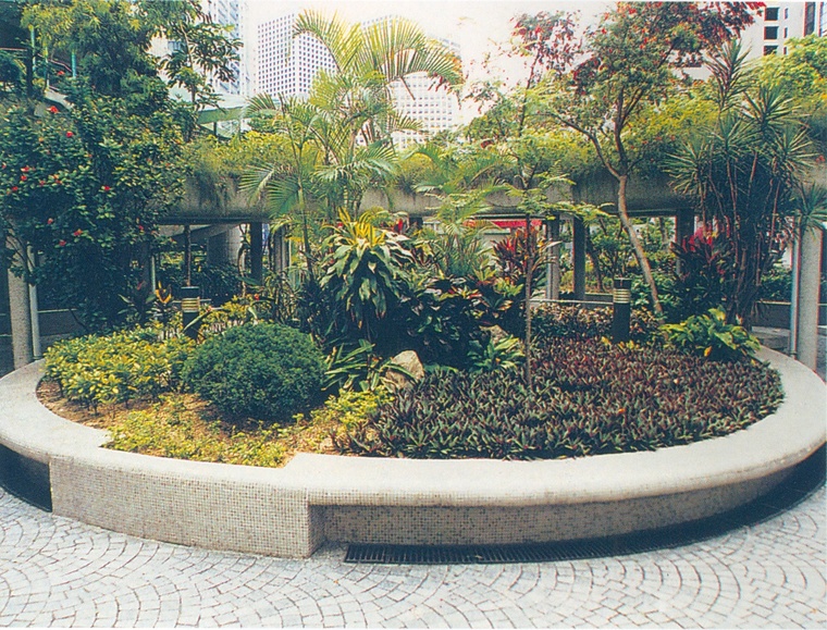 花池树池056