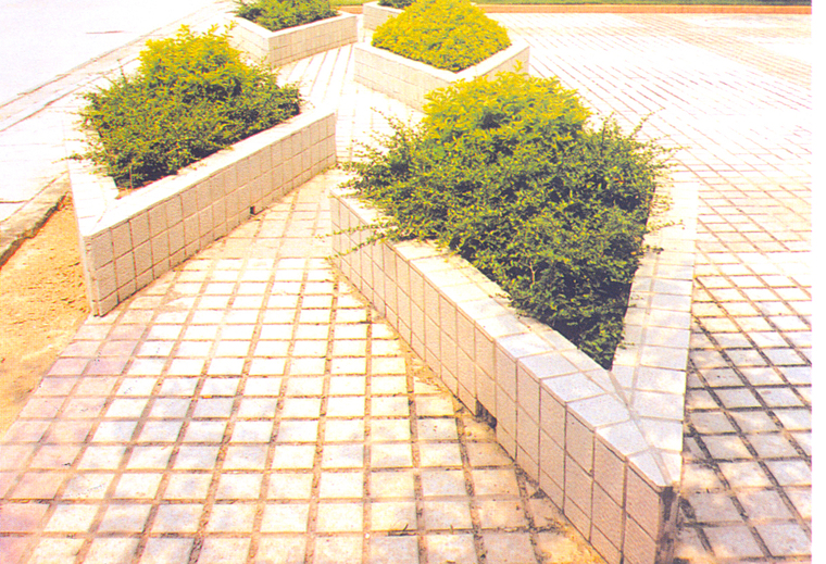 花池树池066