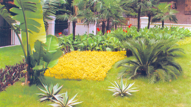 花池树池072