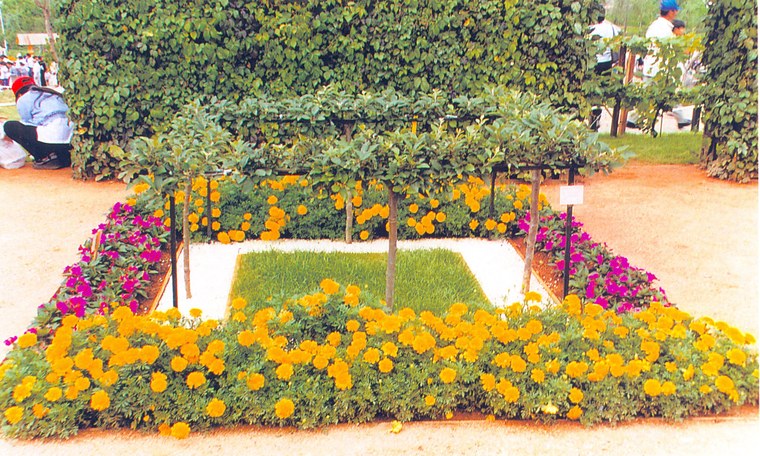 花池树池073
