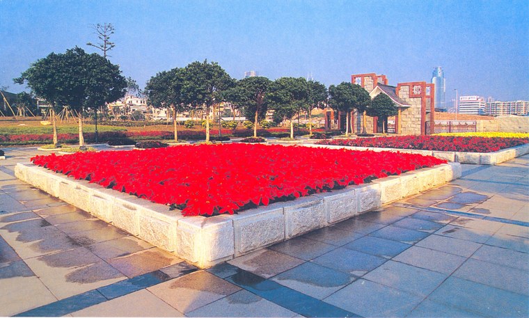 花池树池078