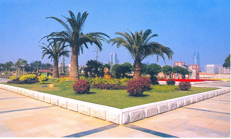 花池树池080