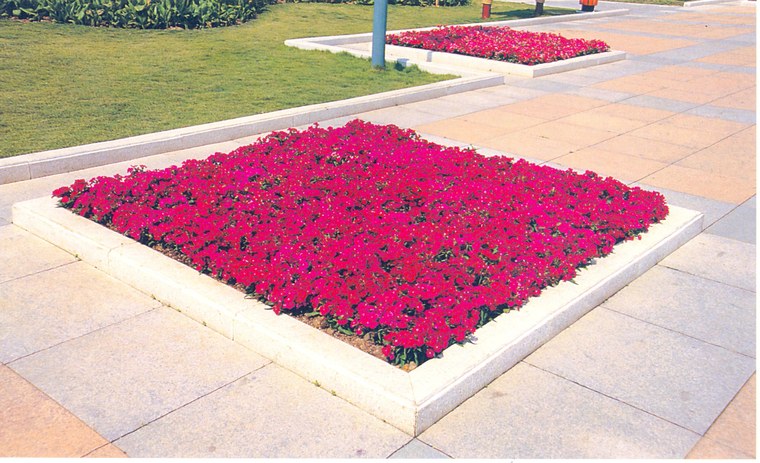 花池树池081