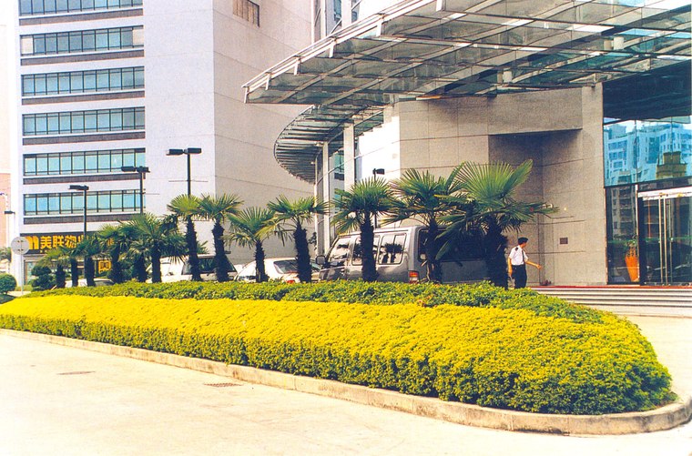 花池树池084