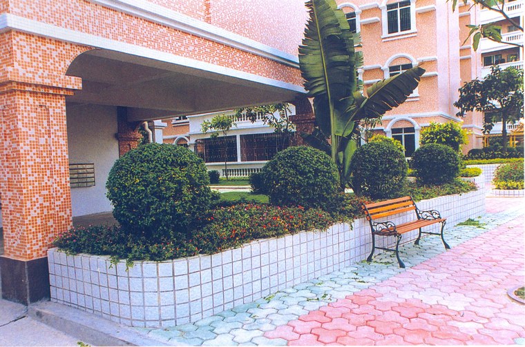 花池树池089