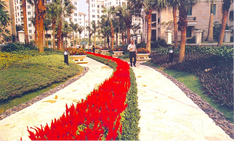 花池树池091