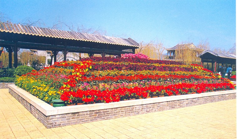 花池树池093
