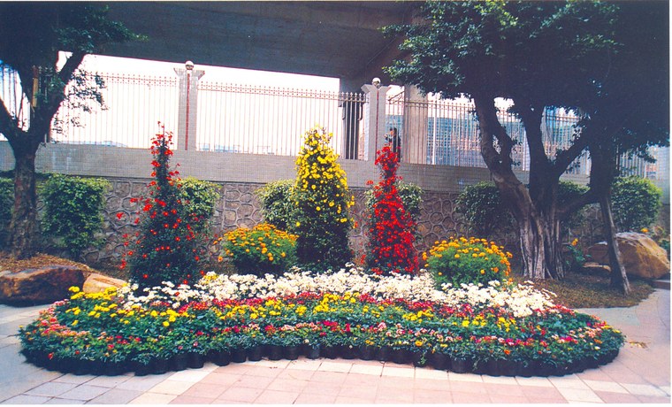 花池树池094
