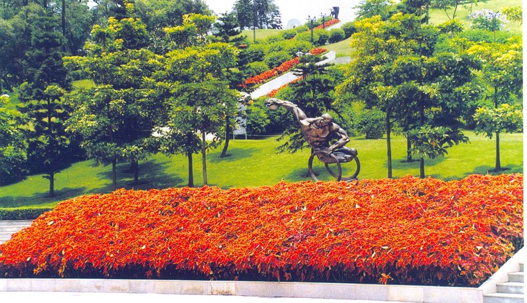 花池树池098