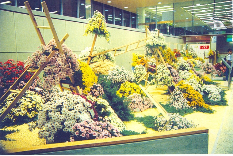 花池树池100