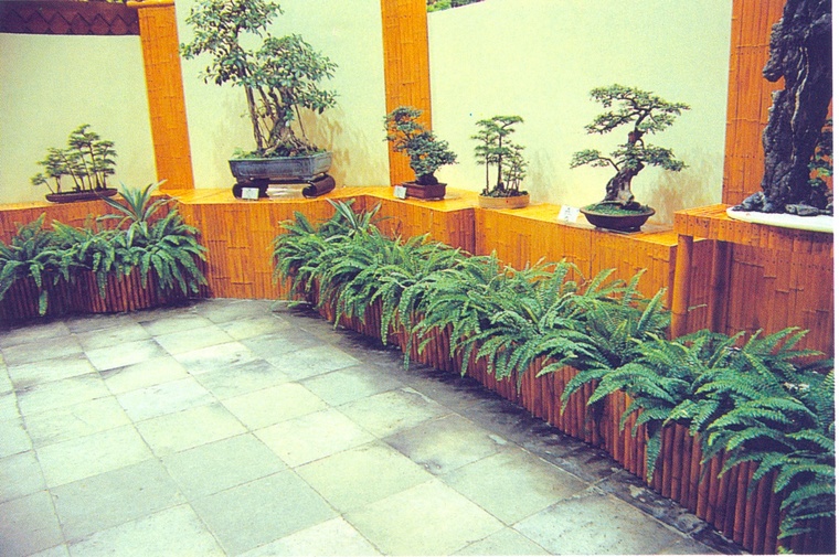 花池树池107