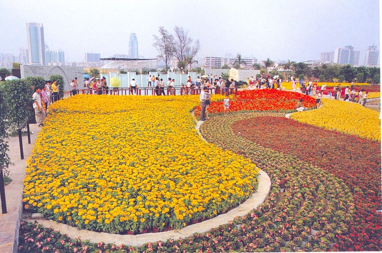 花池树池113