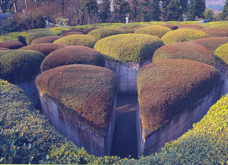 花池树池002