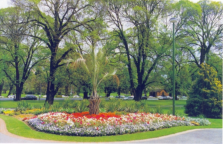 花池树池007