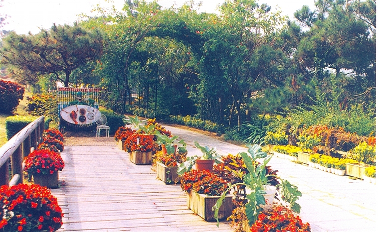 花池树池008