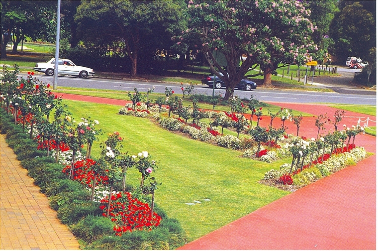 花池树池009