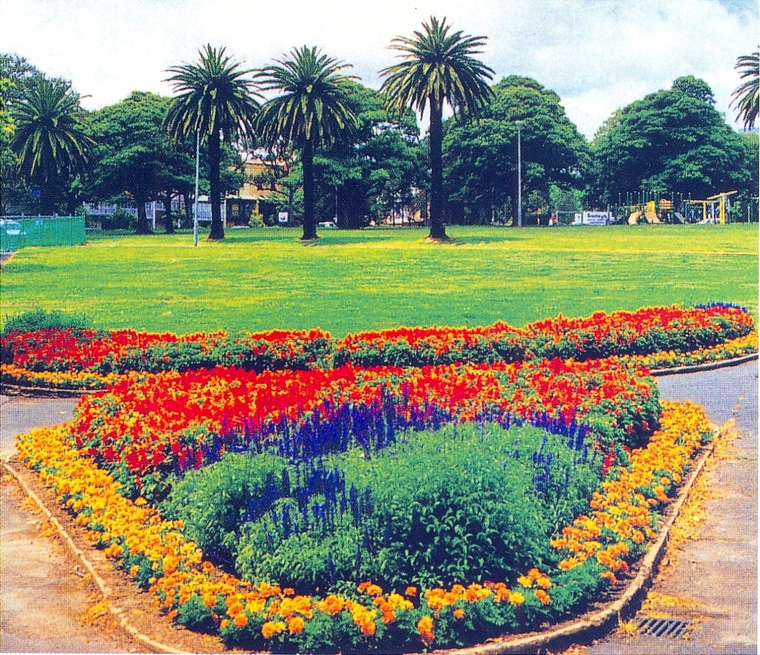 花池树池014